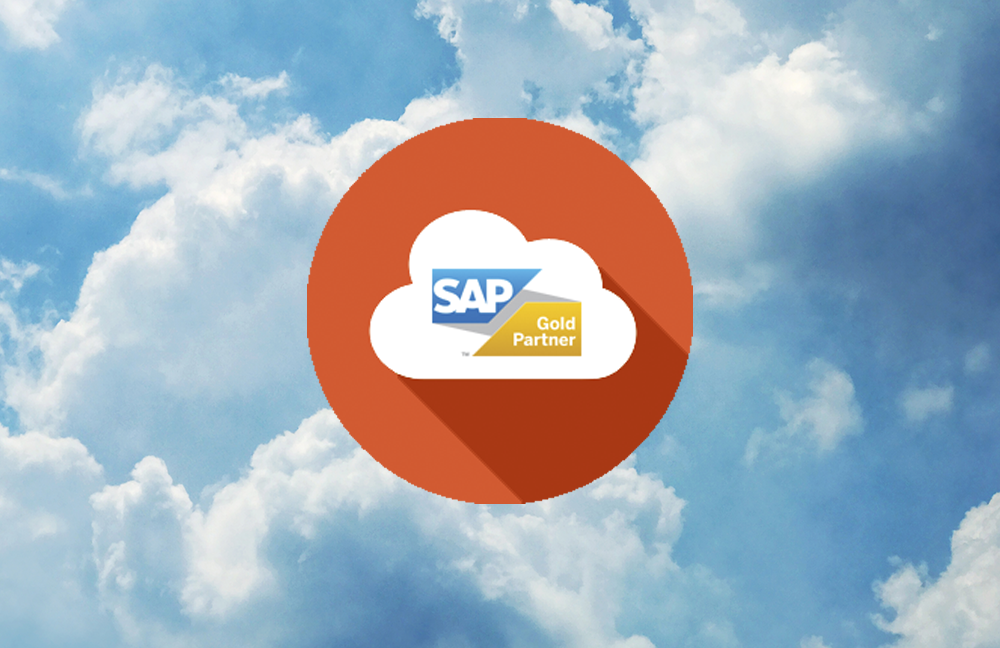 SAP Partner Managed Cloud Website Launched