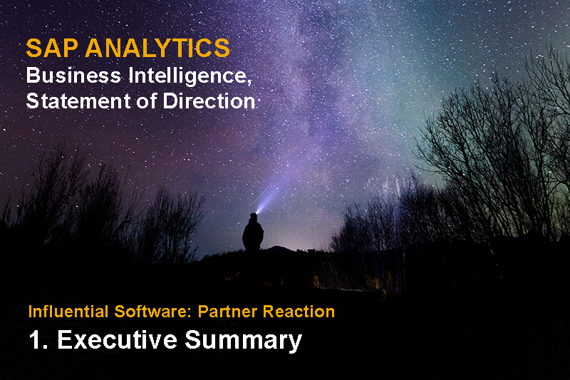 SAP Analytics Business Intelligence Statement of Direction published - Executive Summary and response by UK Partner Influential Software. Original Photo by egil sjøholt from Pexels
Copy