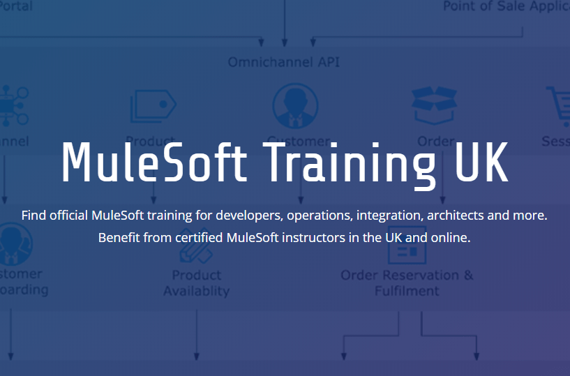 MuleSoft Training website - title image